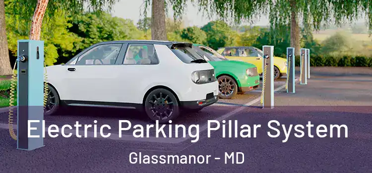Electric Parking Pillar System Glassmanor - MD