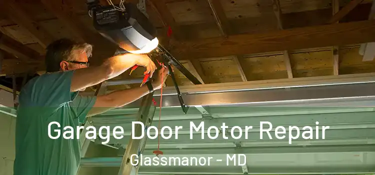 Garage Door Motor Repair Glassmanor - MD