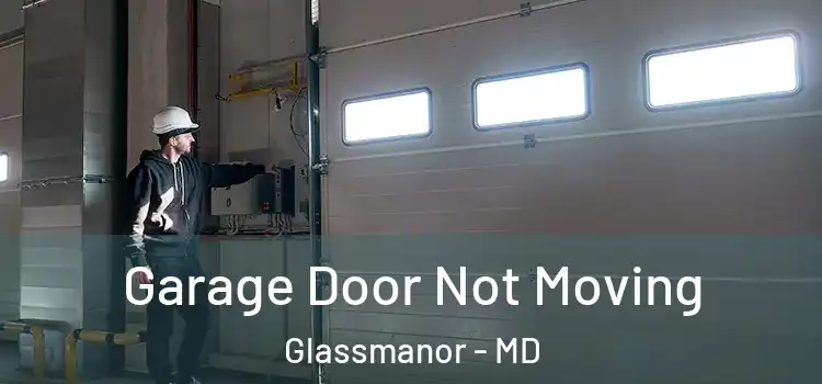  Garage Door Not Moving Glassmanor - MD