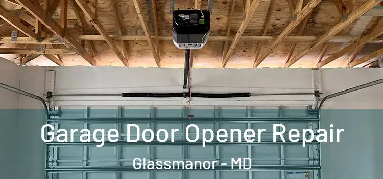  Garage Door Opener Repair Glassmanor - MD
